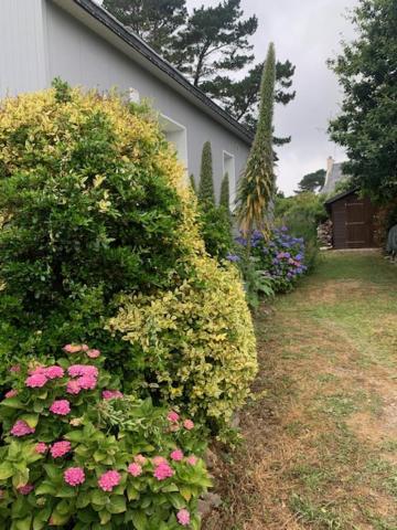 Maison 400M De La Plage Crozon Bagian luar foto